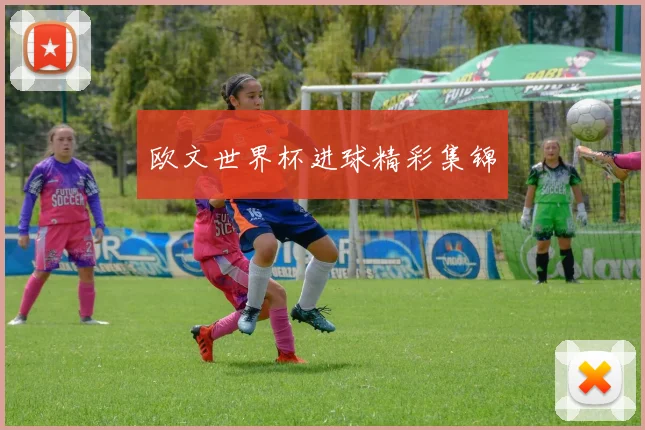 欧文世界杯进球精彩集锦