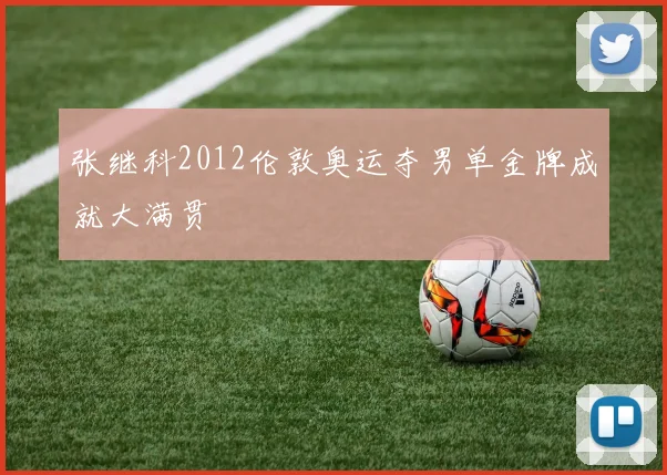 张继科2012伦敦奥运夺男单金牌成就大满贯