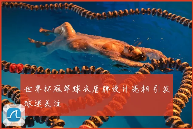 世界杯冠军球衣盾牌设计亮相 引发球迷关注