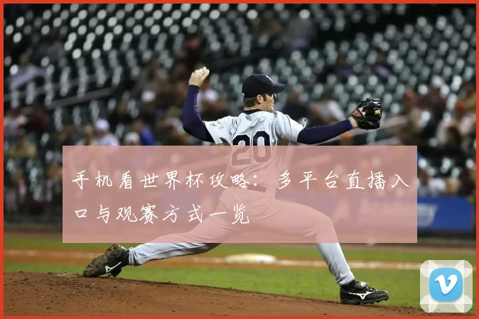 手机看世界杯攻略:多平台直播入口与观赛方式一览