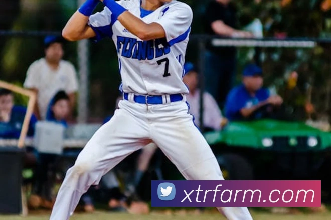 世界杯开户平台服务体系